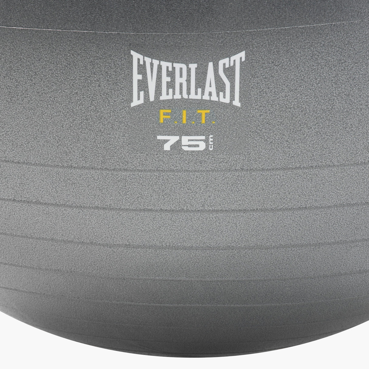 Balón Pilates Fit Gris 75 cm. Everlast